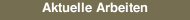 Aktuelle Arbeiten